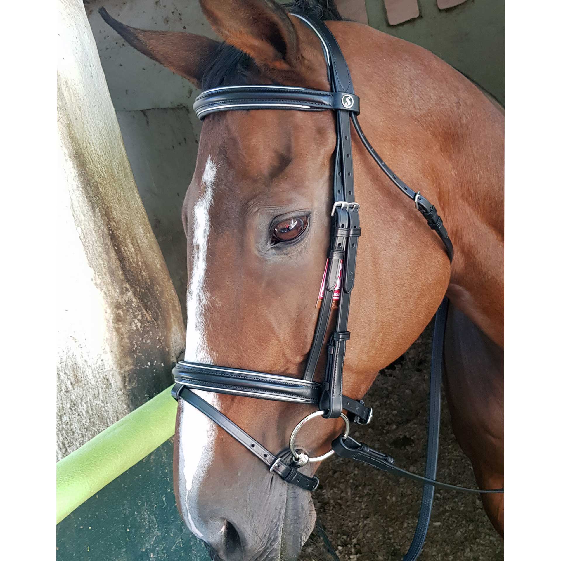 Bridle Padded Poll Metallic Black/Platinum